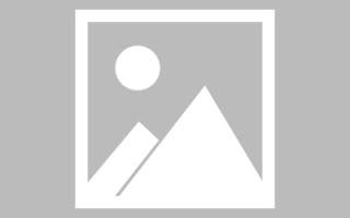 嘉善德阳专业网站建设费用（德阳企业网站建设费用）